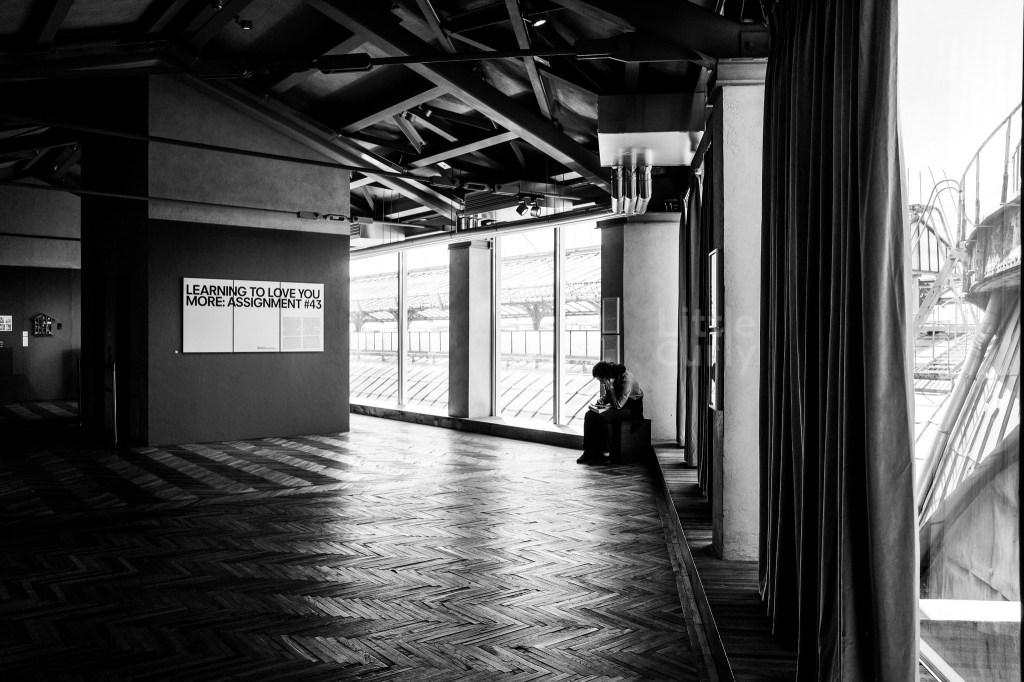 從屋頂看米蘭艾曼紐二世拱廊